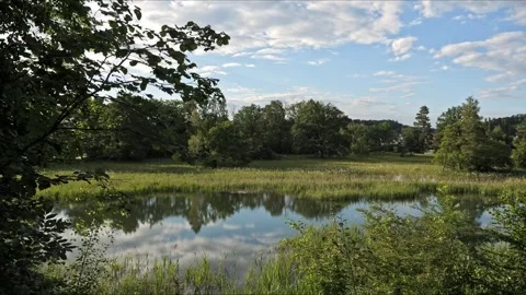 Wide-Angle Marshland – Dynamic Sideways Tracking 4K Cinematic 스톡 동영상 320835919