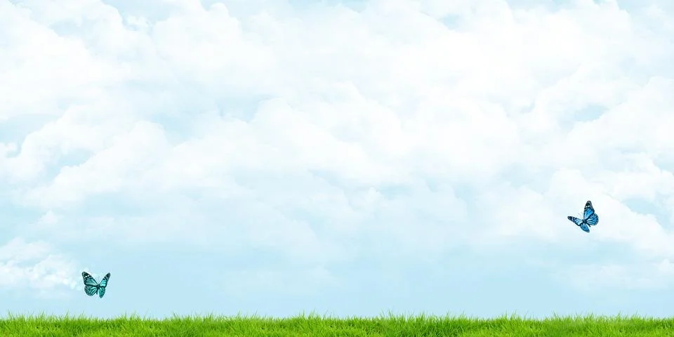 Wide angle meadow And cloudy skies Butterflies flying on the lawn 3d illustra Illustrazione stock