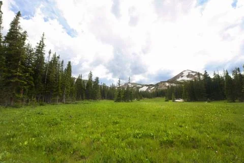 Wide Angle of Mountain Meadow Stock Photos