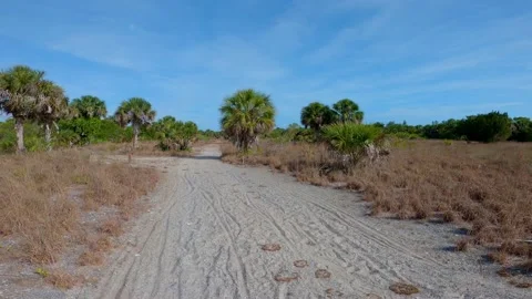 Wide angle nature trail video! Stock Footage 155289321