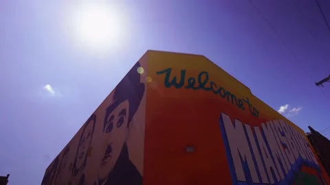 Wide angle pan of 2 walls with murals Stock Footage 136043494