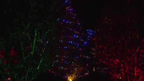 Wide angle pan down of beautifully lit Christmas tree Stock Footage 149418584