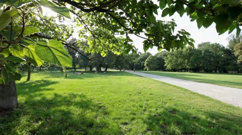 Wide angle Pan shot at a park on a summer day Stock Footage 22762062