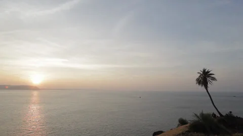 Wide angle panorama- palm tree, wind, people sat silhouetted at sunrise in India Stock Footage 33535439