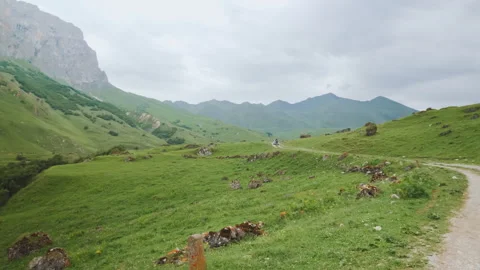 Wide Angle Panorama Of Winding Mountain Dirt Road Through Alpine Green Meadows Video stock 346889833