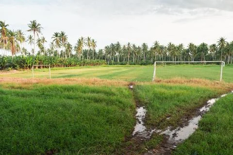 Wide angle perspective of a green pasture with a small dirt track leading t.. Stock Photos