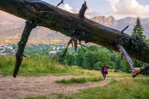 Wide angle picture of a broken tree against a blur female hiker walking on th Stock Photos