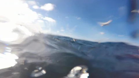 Wide angle pov of flock of seagulls flying next to fishing boat, USA Stock Footage 138889296