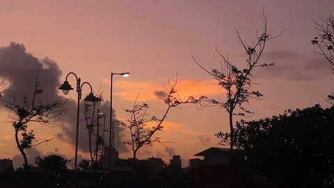 Wide angle real time footage of trees silhouetted during a beautiful sunset. Stock Footage 115628313