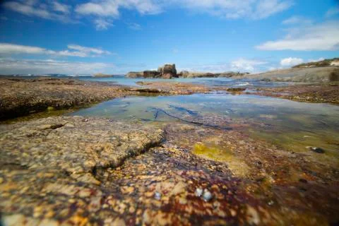 Wide angle Rockpool on Beach Australia Stock Photos