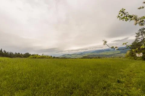 Wide angle scenic view of cherry blossom against meadow of polish mountains o Stock Photos