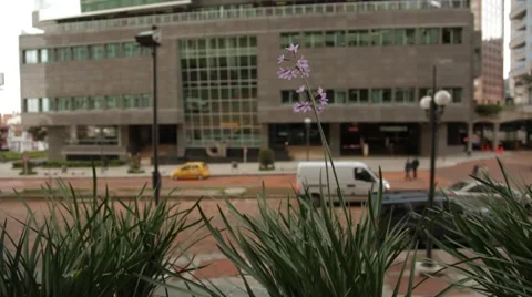 Wide Angle Shot of the Ar Tower Video stock 42270165