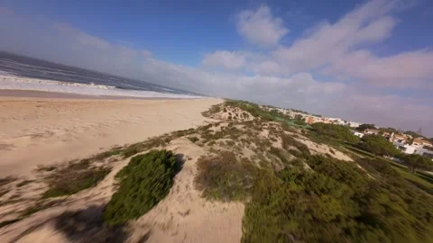 Wide-angle shot captures serene beachfront with natural dunes and ocean Stock Footage 345059093