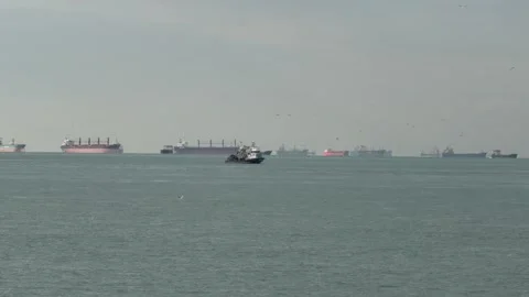 Wide angle shot capturing a small fishing boat navigating among cargo ships Vídeos de archivo 340155040