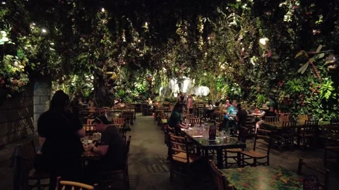 Wide Angle Shot Of Dining Area Of Rainforest Cafe 002 Stock Footage 247008410
