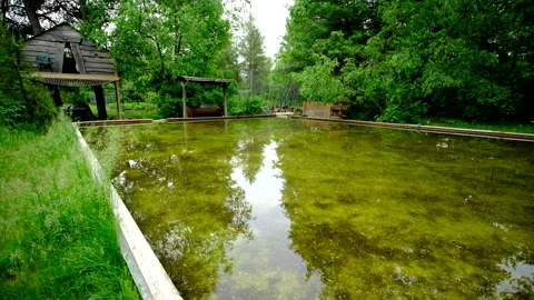 Wide angle shot of dirty green water in melted home made back yard ice rink Stock Footage 311484099