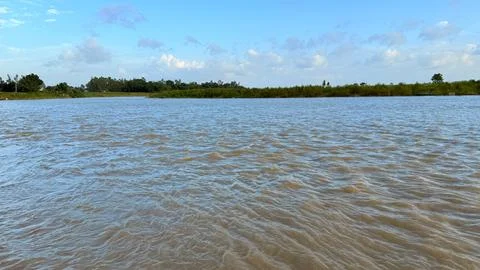 Wide angle shot features a muddy river extending from foreground to backgroun Foto stock