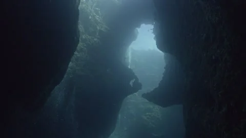Wide angle shot of huge Underwater Cave, Blue Holes, Palau, including divers Видео 334130361