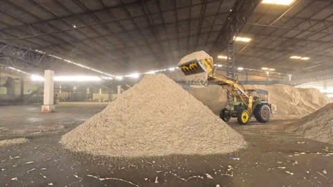 Wide angle shot of JCB unloading a bulk of cotton seeds in warehouse. Stock Footage 313913828