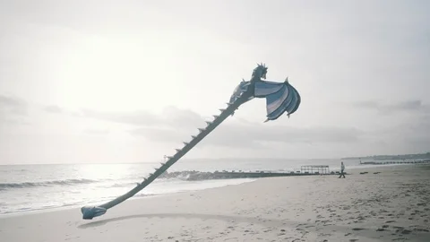 Wide angle shot of man flying large kite on Bournemouth beach at sunset. Stock Footage 101281088
