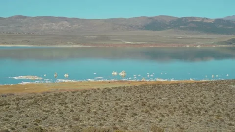 Wide angle shot mono lake, California calm reflection in sierra nevada mountains Video stock 166805079