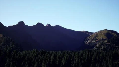 Wide angle shot of mountains landscape with spring forest Illustrazione stock