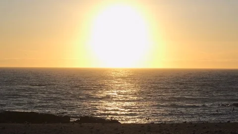 Wide angle shot over beach at sunset with hundreds of seagulls resting on sand Stock Footage 115760127