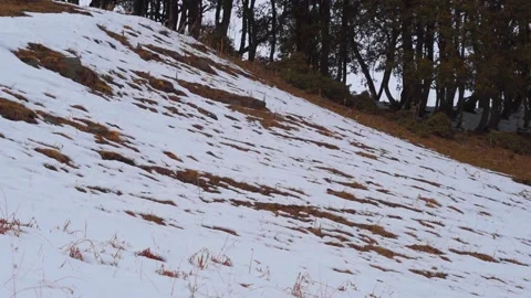 Wide angle shot of patch of snow on the top of the mountain during the winter  Video stock 228190596