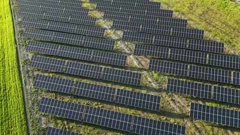 A wide-angle shot of solar panels set amidst a Stock Footage 240340005