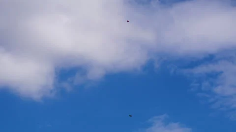 Wide angle shot of Two kites about to fight aggressively with each other Stock Footage 258715054
