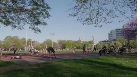 Wide angle shot of unrecognizable people working out in Brooklyn's McCarren Park Stock Footage 275550296