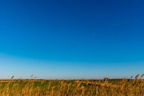 A wide angle shot of a wheat plain field with the horizon and the crescent mo Stock Photos