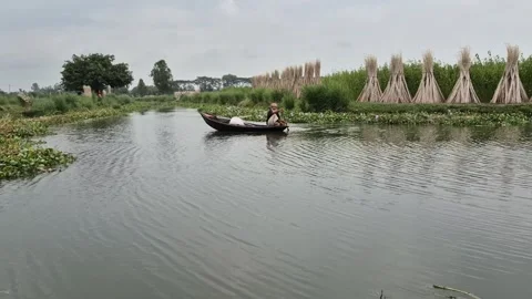 Wide Angle Side View Of Elderly Farmer Rowing Small Wooden Boat In Rural Canal Stock Footage 340248904