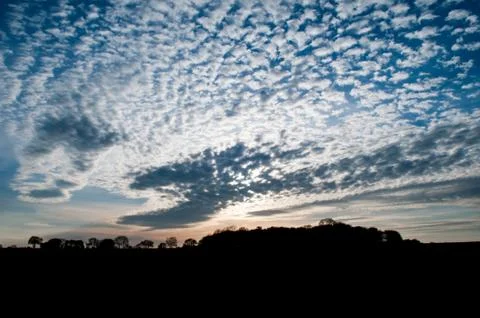 Wide angle silhouette of trees with dramatic sky Stock Photos