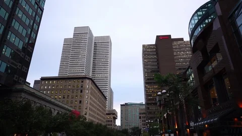Wide Angle Steadicam Downtown Walking on Avenue McGill College Stock Footage 81377426
