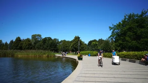 Wide Angle Steadicam Sunny Day Natural Beauty Stock Footage 79892053