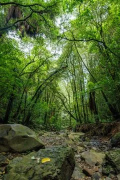 Wide angle stream bed bed Stock Photos