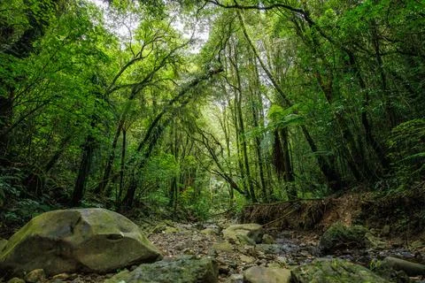 Wide angle stream bed bed Stock Photos