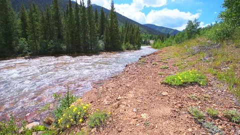 Wide angle summer view on Mineral Creek stream in Silverton Colorado Stock Footage 136879094
