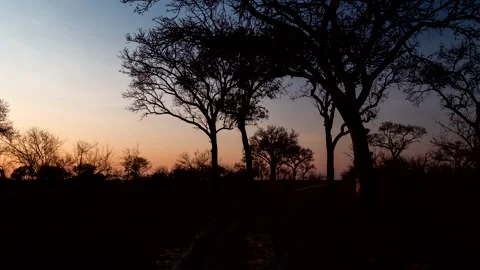 Wide angle time lapse of early morning sunrise transitioning over time Stock Footage 163076576