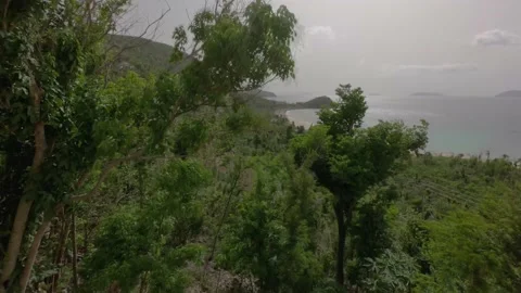 WIDE ANGLE TIMELAPSE DESERTED PRIVATE BEACH TORTOLA BVI VIRGIN ISLANDS Stock Footage 143200762