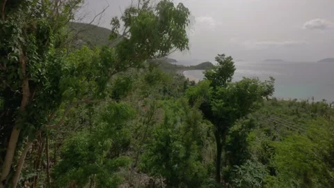 WIDE ANGLE TIMELAPSE DESERTED PRIVATE BEACH TORTOLA BVI VIRGIN ISLANDS Stock Footage 143200950