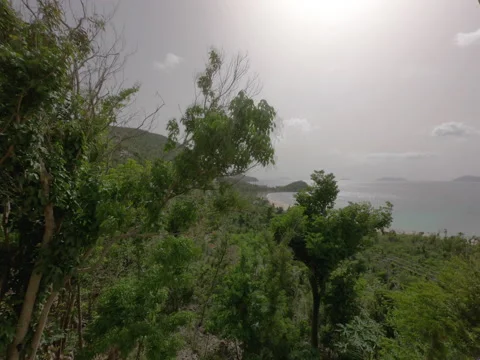 WIDE ANGLE TIMELAPSE DESERTED PRIVATE BEACH TORTOLA BVI VIRGIN ISLANDS Stock Footage 150186137