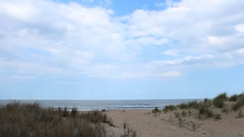 Wide Angle Timelapse Ocean With Dune Grass Stock Footage 106673893