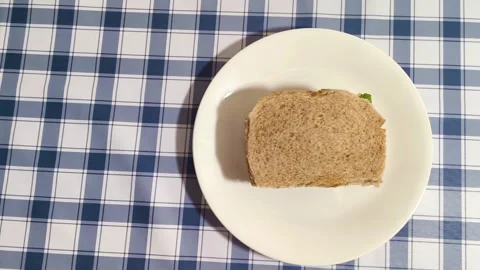 Wide angle top down view of sandwich on a plate placed on a picnic plaid tablecl Video stock 318258808