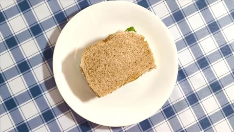 Wide angle top down view of sandwich on a plate placed on a picnic plaid ta.. Video stock 318267926