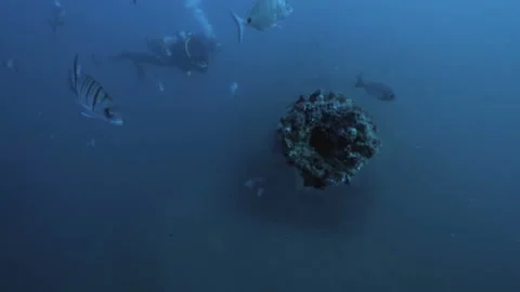 Wide angle under water shot of ship´s gun, Atlantic Ocean 動画素材 167055881