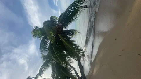 Wide-angle, vertical video of a perfect Caribbean paradise-like island beach. Stock Footage 225130474
