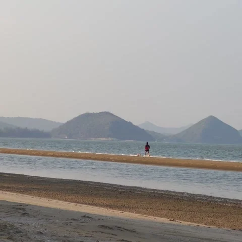 Wide angle video of a distant man running with his dog on a scenic sandbar. Stock Footage 340161111