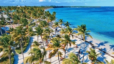 Wide angle video of palm trees on the beach of Indian coast. Stock Footage 290955644